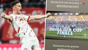 Leipzig-Legionär Christoph jubelt mit seinem Bruder und WAC-Kapitän Dominik Baumgartner. (Bild: GEPA)