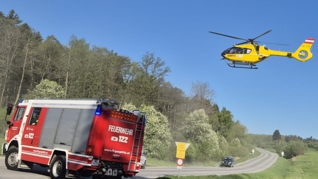 (Bild: Freiwillige Feuerwehr Göpfritz/Wild)