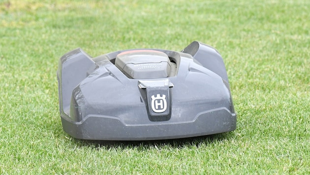 Mähroboter sind vor allem für Kinder im Krabbelalter eine große Gefahr. Die Verletzungen sind meist schwer, für kleine Tiere oft sogar tödlich. (Bild: P. Huber)