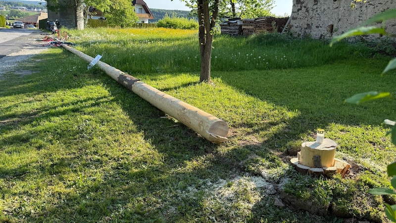 Auf dem abgesägten Stamm wurde eine Kerze platziert. (Bild: FF Penzendorf)