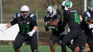 Die Ducks bekommen Zuwachs.