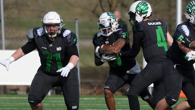 Die Ducks bekommen Zuwachs.