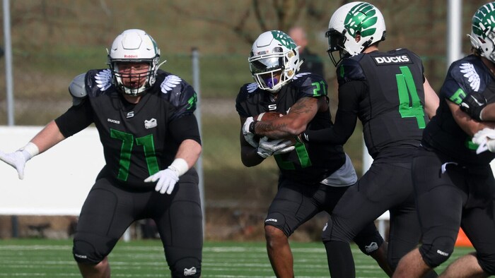 Die Salzburg Ducks sind mit ihrem Ententeich sehr zufrieden.