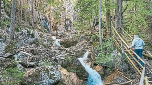 Fast alle Brücken und Leitern in der Klamm wurden getauscht. (Bild: Wallner Hannes)