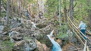 Fast alle Brücken und Leitern in der Klamm wurden getauscht.