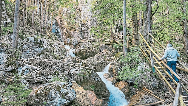 Fast alle Brücken und Leitern in der Klamm wurden getauscht. (Bild: Wallner Hannes)