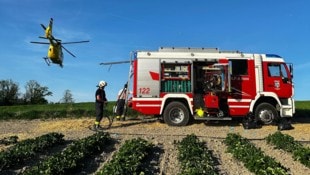 Feuerwehr und Rettung standen am Mittwoch auf dem Erdbeerfeld im Einsatz. (Bild: FF Pram)