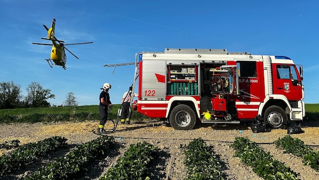 Feuerwehr und Rettung standen am Mittwoch auf dem Erdbeerfeld im Einsatz. (Bild: FF Pram)