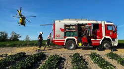Feuerwehr und Rettung standen am Mittwoch auf dem Erdbeerfeld im Einsatz. (Bild: FF Pram)