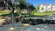 Der umgeschnittene Maibaum in St. Georgen an der Gusen