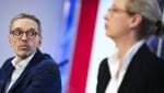 Kickl empfing AfD-Chefin Alice Weidel in Wien. (Archivbild) (Bild: APA/EVA MANHART)