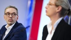 Kickl empfing AfD-Chefin Alice Weidel in Wien. (Archivbild) (Bild: APA/EVA MANHART)