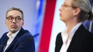 Kickl empfing AfD-Chefin Alice Weidel in Wien. (Archivbild) (Bild: APA/EVA MANHART)