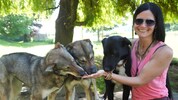 Lebensgefährtin Petra verwöhnt die Hunde mit Kürbiskernmehl
