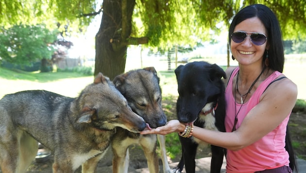 Lebensgefährtin Petra verwöhnt die Hunde mit Kürbiskernmehl (Bild: Pail Sepp)