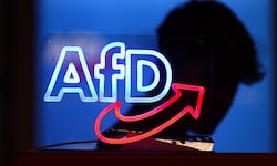 Der Verlust der Markenrechte erschwert es der AfD, anderen die Nutzung des Logos oder des ...