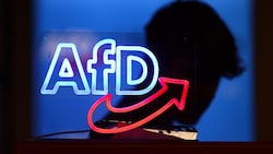 Der Verlust der Markenrechte erschwert es der AfD, anderen die Nutzung des Logos oder des ...