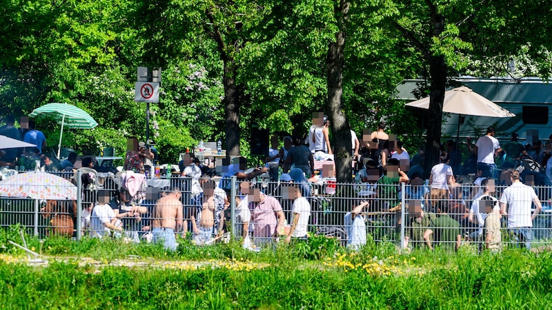 Rund 300 Hobbybrutzler feierten zügellos am städtischen Grillplatz. (Bild: Kerschbaummayr Werner, Krone KREATIV)