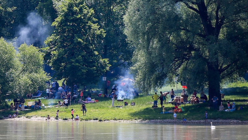 Vor sieben Jahren verwandelte sich das Donauufer in Sankt Margarethen bei heißen Temperaturen oft zum verrauchten Brutzelplatzl. (Bild: Pressefoto Scharinger/Daniel Scharinger)