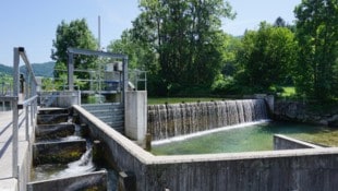 Fischaufstiegshilfen verbessern oft die ökologische Situation. (Bild: Kleinwasserkraft Österreich)