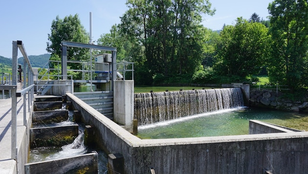 Fischaufstiegshilfen verbessern oft die ökologische Situation. (Bild: Kleinwasserkraft Österreich)