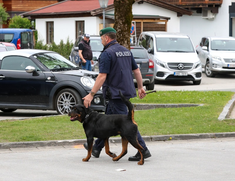 Polizeihunde unterstützten bei der Suche nach dem Projektil. (Bild: Roland Hölzl)