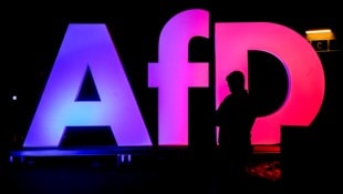 Werden Beamte nun aufgrund einer AfD-Mitgliedschaft entlassen? (Bild: AP/Michael Probst)