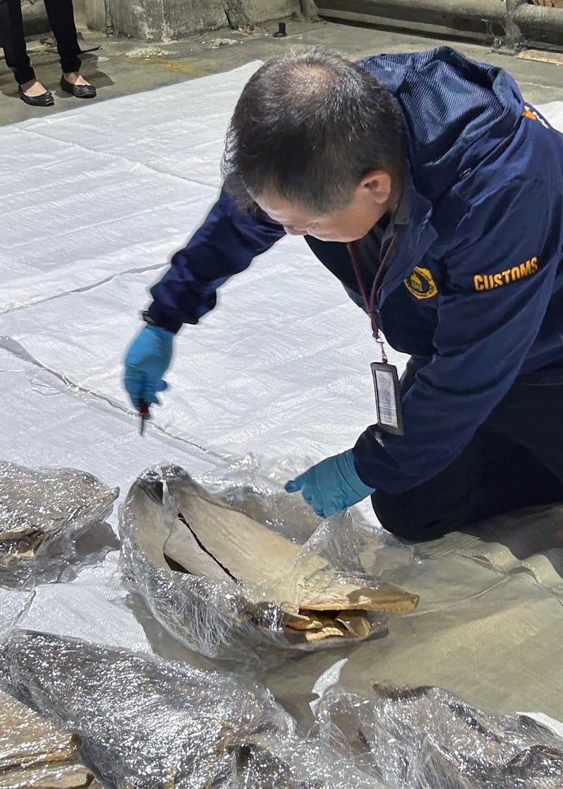 (Bild: EPA/CUSTOMS DEPARTMENT HANDOUT)