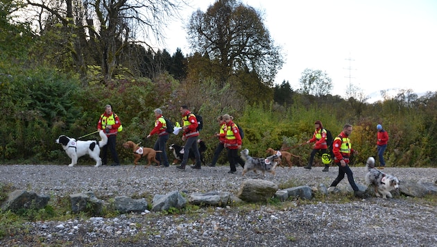 Die Samariterbund-Hundestaffel – am Foto bei einer Übung – standen mit der Rettungshundebrigade, Polizeihundeführern und weiteren Polizisten im Sucheinsatz.  (Bild: Fister Katrin)