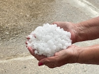 Hagelkörner nach dem Unwetter in Deutsch Kaltenbrunn. (Bild: Christian Schulter)