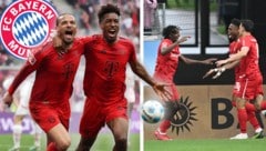 Bayern München darf nach dem Punktgewinn der Freiburger über die Meisterschaft jubeln! (Bild: Krone KREATIV/APA/AFP/INA FASSBENDER, ASSOCIATED PRESS, krone.at)
