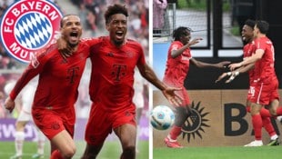 Bayern München darf nach dem Punktgewinn der Freiburger über die Meisterschaft jubeln! (Bild: Krone KREATIV/APA/AFP/INA FASSBENDER, ASSOCIATED PRESS, krone.at)