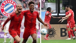 Bayern München darf nach dem Punktgewinn der Freiburger über die Meisterschaft jubeln! (Bild: Krone KREATIV/APA/AFP/INA FASSBENDER, ASSOCIATED PRESS, krone.at)