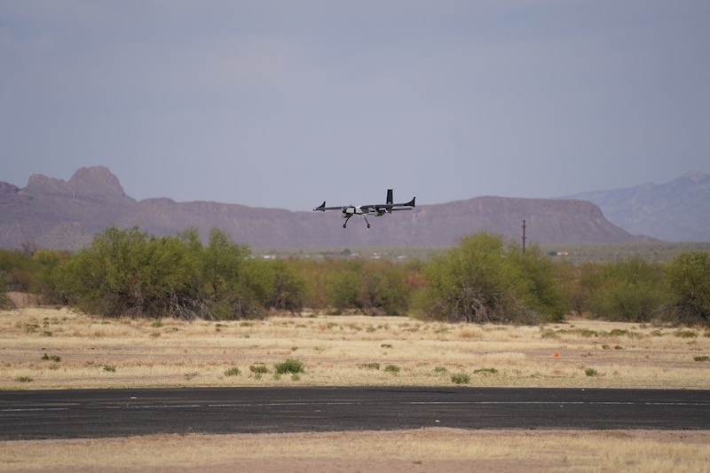 Die Seeschwalbe landete auf Platz eins. (Bild: joanneum Aeronautics)