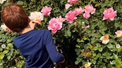 Herzogin Meghan teilt auf Instagram immer wieder Schnappschüsse ihrer Kinder. Prinz Archie feiert am heutigen Dienstag seinen 6. Geburstag. (Bild: instagram.com/meghan)