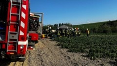 Der Einsatz mitten auf einem Erdbeerfeld. (Bild: FF Pram)
