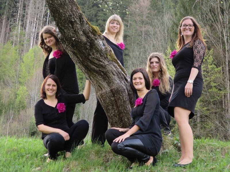 Musikalische Cousinen-Power: Die Dekleta Smrtnik-Mädels.  (Bild: Dekleta Smrtnik)