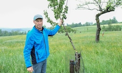 Es war für ihn wie ein Schlag ins Gesicht: Bauer Josef Stirmayr (61) aus Gramastetten zeigt ...