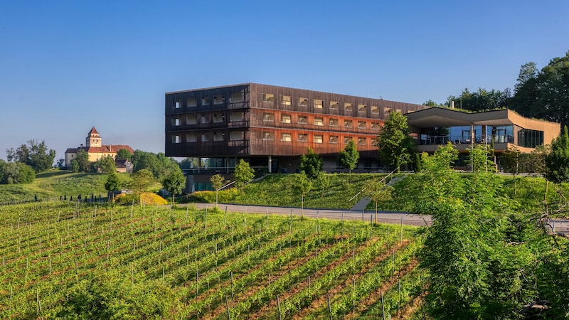 Das Loisium Südsteiermark, mitten in den Weingärten (Bild: Toeroek Gabor)