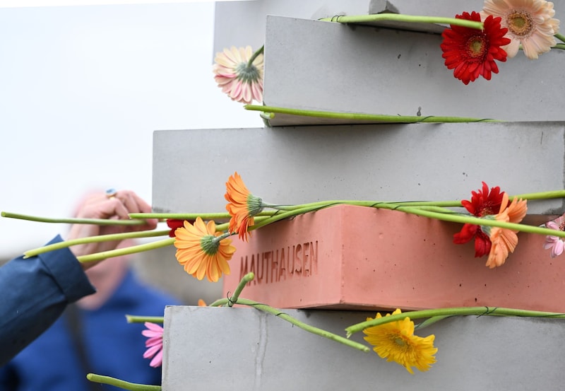 (Bild: APA/BARBARA GINDL)