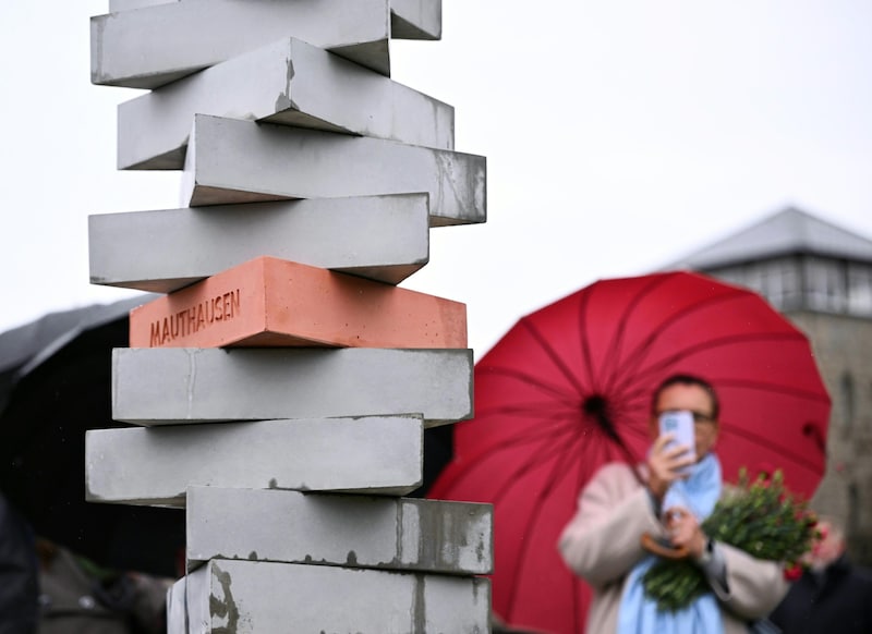 (Bild: APA/BARBARA GINDL)