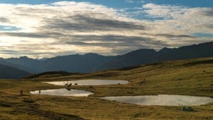 Die Gegner sind sich einig, dass die Tessenberger Alm von Windrädern verschont bleiben soll. (Bild: Hans Bergmann)