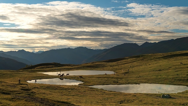 Die Gegner sind sich einig, dass die Tessenberger Alm von Windrädern verschont bleiben soll. (Bild: Hans Bergmann)