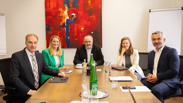 Heute, Dienstag, ging es in der Regierungssitzung um die Marschrichtung für die nächsten Wochen. (Bild: Amt der Landesregierung Bgld)