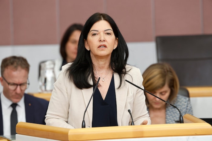 SPÖ-Gesundheitssprecherin Manuela Auer will Antworten.