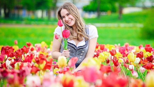 Viele Mütter bekommen am Sonntag wohl Tulpensträuße überreicht. (Bild: Pressefoto Scharinger/Daniel Scharinger)