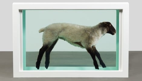 Lamm in Formaldehyd-Lösung: Damien Hirst, „Away from the Flock“, 1994 (Bild: © Damien Hirst and Science Ltd. All rights reserved/ Bildrecht, Wien 2025)