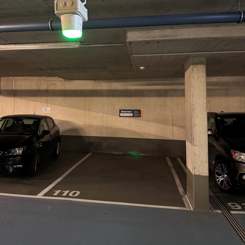 Grünes Licht, aber eigentlich reserviert... (Bild: Thomas Werth, Krone KREATIV)