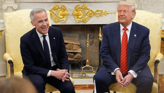 (Bild: AP/Adrian Wyld)
