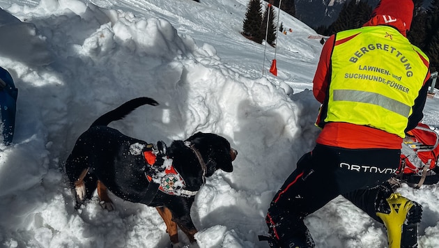 Auch ein Lawinensuchhund suchte nach möglichen Verschütteten (Symbolfoto). (Bild: Wallner Hannes)